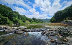 캠핏 | 제천 엘림펜션캠핑장