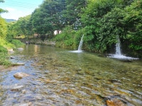 캠핏 | 개울가오토캠핑장