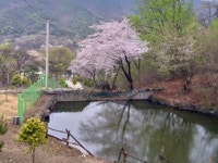 캠핏 | 부여 리틀 빌리지 캠핑장