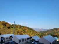 캠핏 | 숲속에햇살캠핑장 | 글램핑텐트