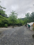 캠핏 | 원주 행복빌리지캠핑장 | A존
