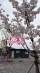 캠핏 | 사천와따캠핑장[와따존]
