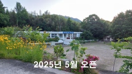 캠핏 | 디지털곤충학습관캠프