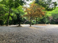 캠핏 | 양주 천보wellness캠핑장 | B동 2구역 한가족 자리 캠핏 | 양주 천보wellness캠핑장 | B동 2구역  한가족 자리