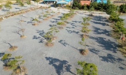 캠핏 | 서해땅끝파도리아치내캠핑장 | B 구역