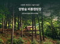 캠핏 | 양평숲 비룡캠핑장