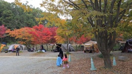 막힘없이 캠핑가자, 캠핏