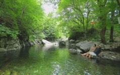 캠핏 | 흥정계곡캠핑700