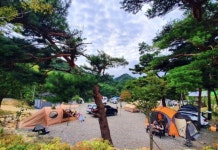 캠핏 | 양양 오색산새소리캠핑장