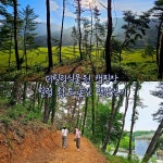 캠핏 | 더힐링식물원 캠핑장
