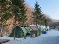 캠핏 | 공주 그리심 글램핑장