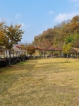 캠핏 | 루파니애견캠핑장