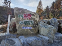 캠핏 | 홍천 뜨란오토캠핑