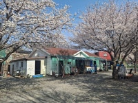 캠핏 | 산내별빛오토캠핑장