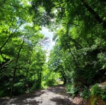 캠핏 | 포시즌파크캠핑장