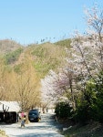 캠핏 | 원주산노리캠핑장