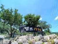 캠핏 | 청도 캠프1530 오토캠핑장