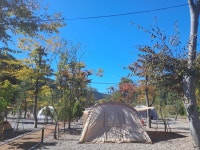 캠핏 | 청주 옥화포시즌캠핑장
