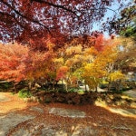 막힘없이 캠핑가자, 캠핏