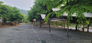 캠핏 | 무릉도원 캠핑장 | A존 (타프존)