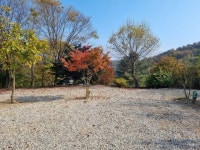 캠핏 | 양평 산울림 오토캠핑장 | 산울림2가족사이트(1~3)