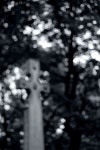 Cross | justsitting | Blipfoto Cross | justsitting