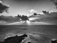 The best I could..... | petespics | Blipfoto The best I could..... | petespics