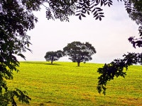 Fluorescent Field | earthdreamer | Blipfoto Fluorescent Field | earthdreamer
