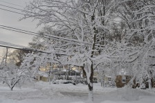 MORE SNOW? | brendanegan09 | Blipfoto MORE SNOW? | brendanegan09