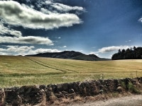 Whispering Grass... | Damnonii | Blipfoto Whispering Grass... | Damnonii
