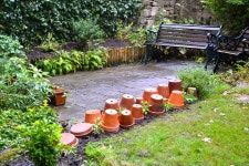 Squirrel protection | hazelh | Blipfoto Squirrel protection | hazelh