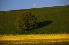Yellow Green Blue - plus Moon! | SarumStroller | Blipfoto Yellow Green Blue - plus Moon! | SarumStroller