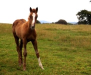 All legs! | MaggieD | Blipfoto All legs! | MaggieD