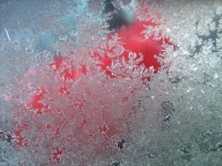 Jack Frost | HERE | Blipfoto Jack Frost | HERE