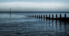Hornsea Groynes | wildthingsma | Blipfoto Hornsea Groynes | wildthingsma