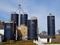 Day 29 .... | KangaZu | Blipfoto Day 29 .... | KangaZu