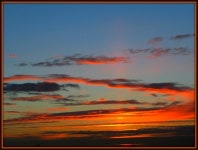 BEFORE SUNRISE | sunflower | Blipfoto BEFORE SUNRISE  | sunflower