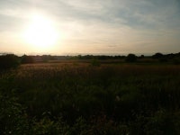It was a lovely evening so... | astronaut | Blipfoto It was a lovely evening so... | astronaut