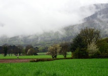 Pink Umbrella | SteinJ | Blipfoto Pink Umbrella | SteinJ