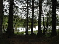 Trees and water | blethers | Blipfoto Trees and water | blethers