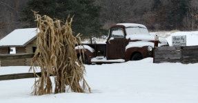 No Cornstalks...No Pumpkins | outdoorguy | Blipfoto No Cornstalks...No Pumpkins | outdoorguy