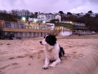 Beach Club & Spa | TrixieTheCollie | Blipfoto Beach Club & Spa | TrixieTheCollie