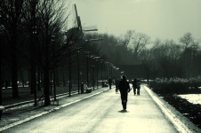 Local global warming | wolfjournal | Blipfoto Local global warming | wolfjournal