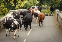 Rush Hour | JohnGravett | Blipfoto Rush Hour | JohnGravett