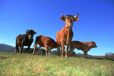 The happy family | DanielAtanes | Blipfoto The happy family | DanielAtanes
