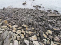 Sunday afternoon windy walk | lulubelle | Blipfoto Sunday afternoon windy walk | lulubelle