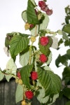 The UP side of this time of year. | Kanyl | Blipfoto The UP side of this time of year. | Kanyl