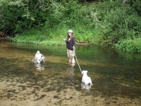 Another Dog, Daughter and Water Picture. | dorrit | Blipfoto Another Dog, Daughter and Water Picture. | dorrit