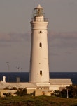 Seal Point Light House | Chiaroscuro | Blipfoto Seal Point Light House | Chiaroscuro