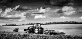 141: Hard at Work | PaulaK | Blipfoto 141: Hard at Work | PaulaK